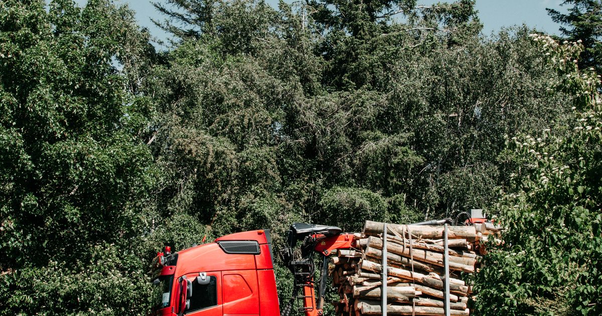 Tachygraphe et transport de bois : ce qui s'applique vraiment aux grumiers